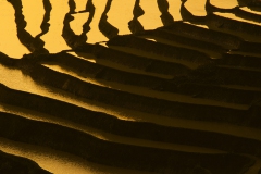 China, Yuanyang, Rise Terraces