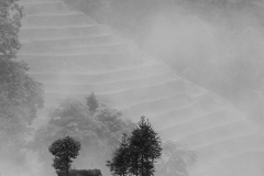 China, Yuanyang, Rise Terraces