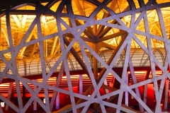 2009 - China, Birdnest